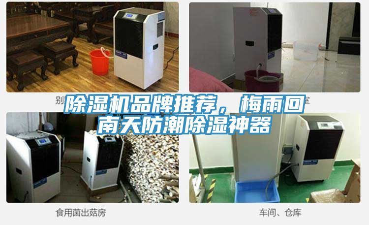 除濕機品牌推薦，梅雨回南天防潮除濕神器