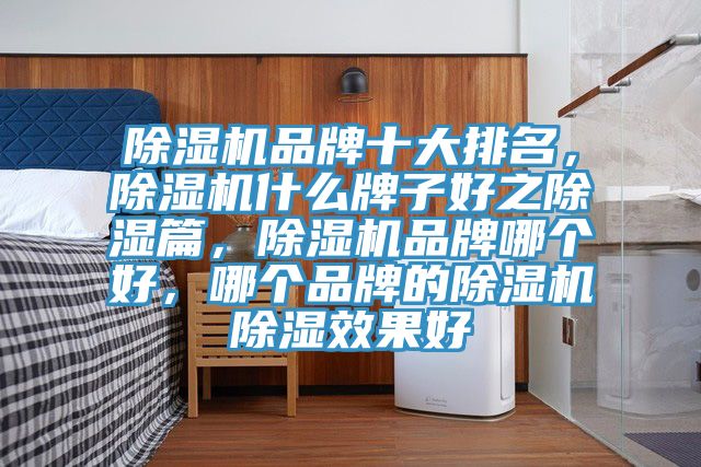 除濕機(jī)品牌十大排名，除濕機(jī)什么牌子好之除濕篇，除濕機(jī)品牌哪個(gè)好，哪個(gè)品牌的除濕機(jī)除濕效果好