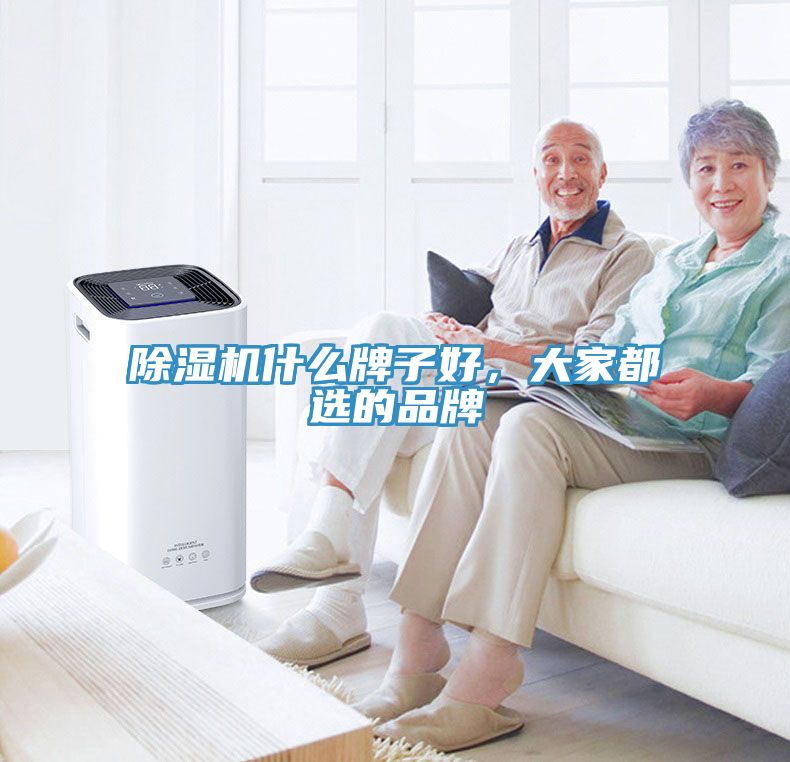 除濕機(jī)什么牌子好，大家都選的品牌