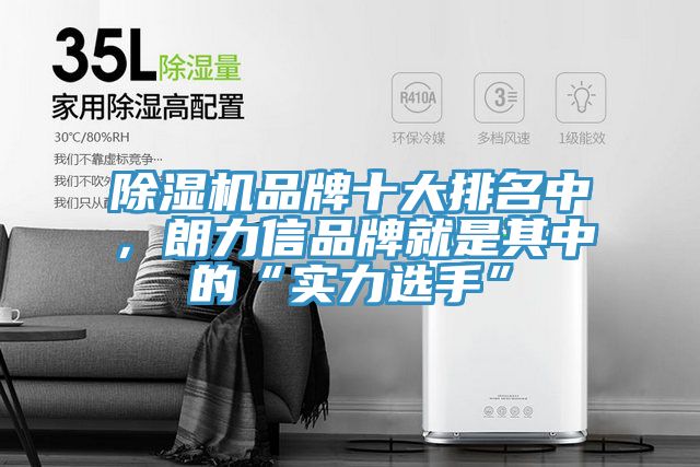 除濕機品牌十大排名中，朗力信品牌就是其中的“實力選手”