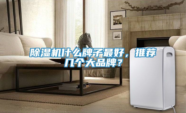 除濕機(jī)什么牌子最好，推薦幾個(gè)大品牌？