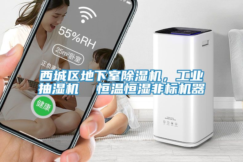 西城區(qū)地下室除濕機，工業(yè)抽濕機  恒溫恒濕非標機器