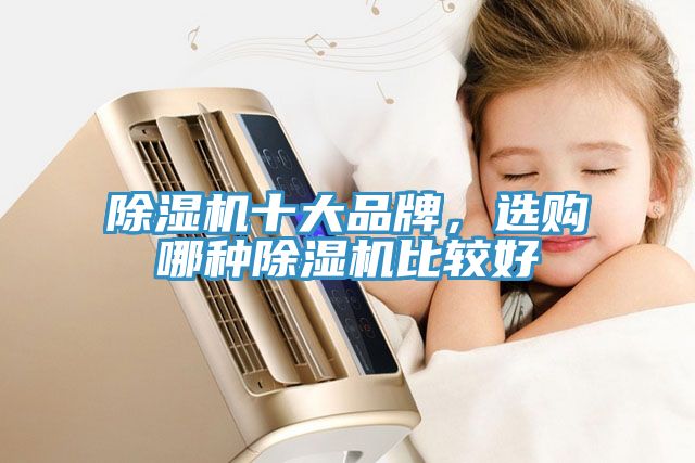 除濕機(jī)十大品牌，選購(gòu)哪種除濕機(jī)比較好