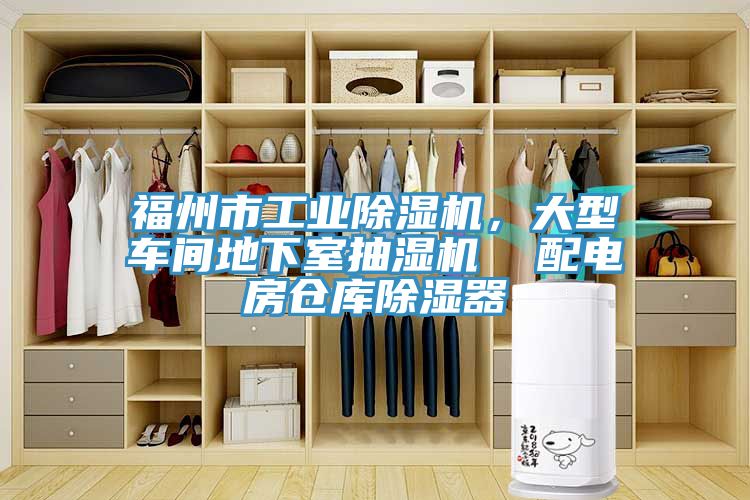 福州市工業(yè)除濕機，大型車間地下室抽濕機  配電房倉庫除濕器