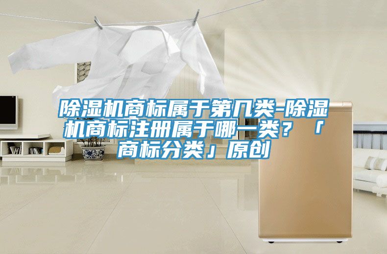 除濕機(jī)商標(biāo)屬于第幾類(lèi)-除濕機(jī)商標(biāo)注冊(cè)屬于哪一類(lèi)？「商標(biāo)分類(lèi)」原創(chuàng)