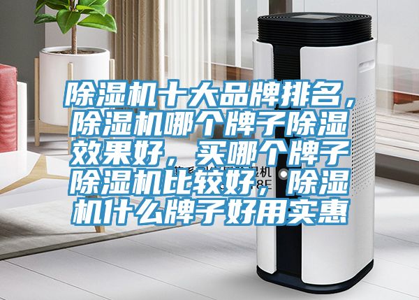 除濕機(jī)十大品牌排名，除濕機(jī)哪個(gè)牌子除濕效果好，買哪個(gè)牌子除濕機(jī)比較好，除濕機(jī)什么牌子好用實(shí)惠
