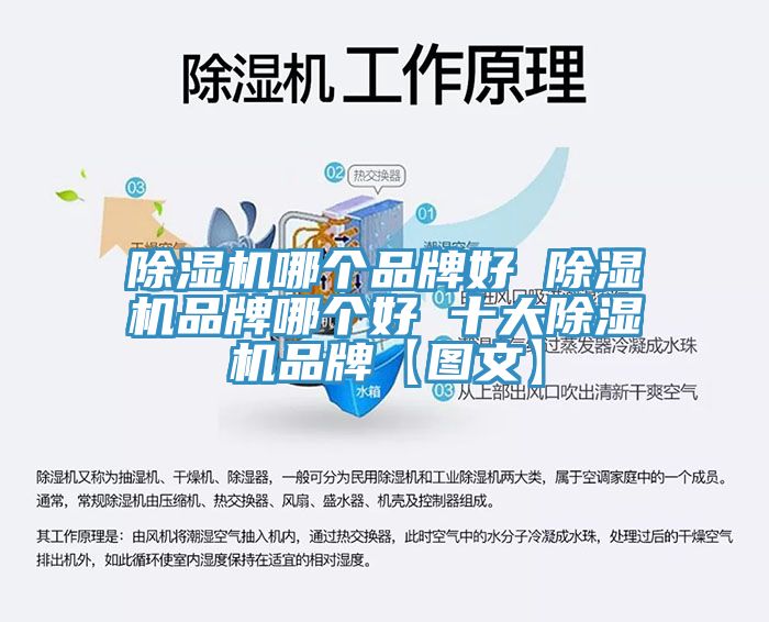 除濕機(jī)哪個品牌好 除濕機(jī)品牌哪個好 十大除濕機(jī)品牌【圖文】