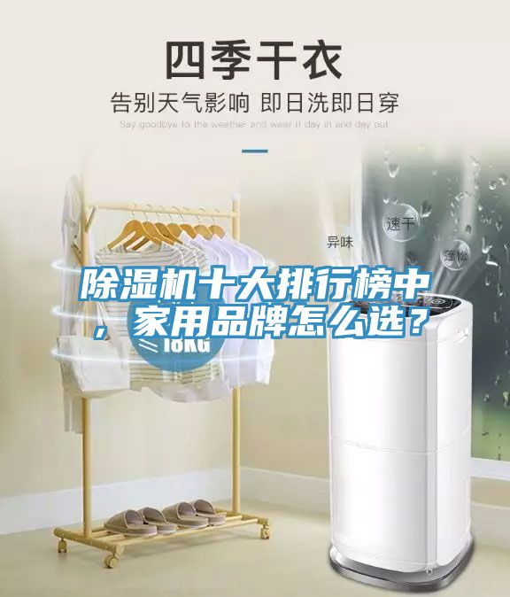 除濕機(jī)十大排行榜中，家用品牌怎么選？