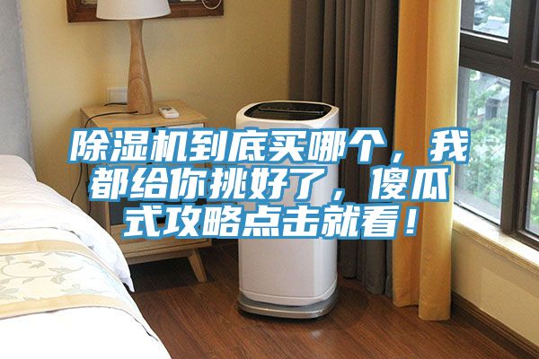 除濕機(jī)到底買(mǎi)哪個(gè)，我都給你挑好了，傻瓜式攻略點(diǎn)擊就看！