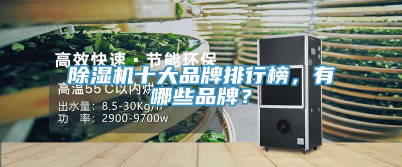 除濕機(jī)十大品牌排行榜，有哪些品牌？