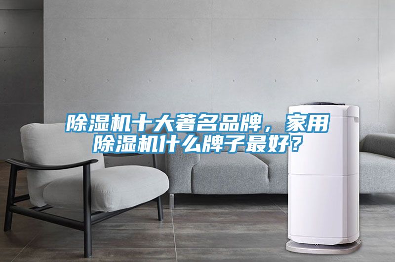除濕機(jī)十大著名品牌，家用除濕機(jī)什么牌子最好？