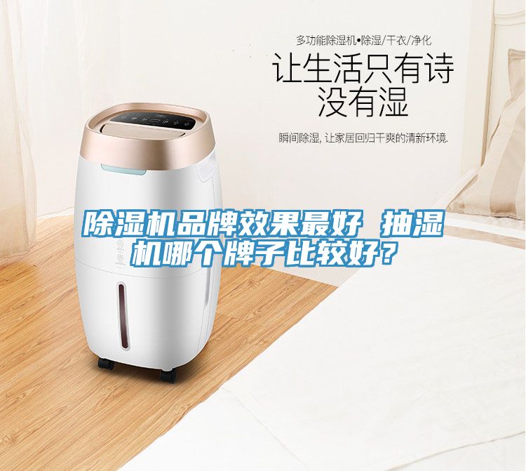 除濕機品牌效果最好 抽濕機哪個牌子比較好？