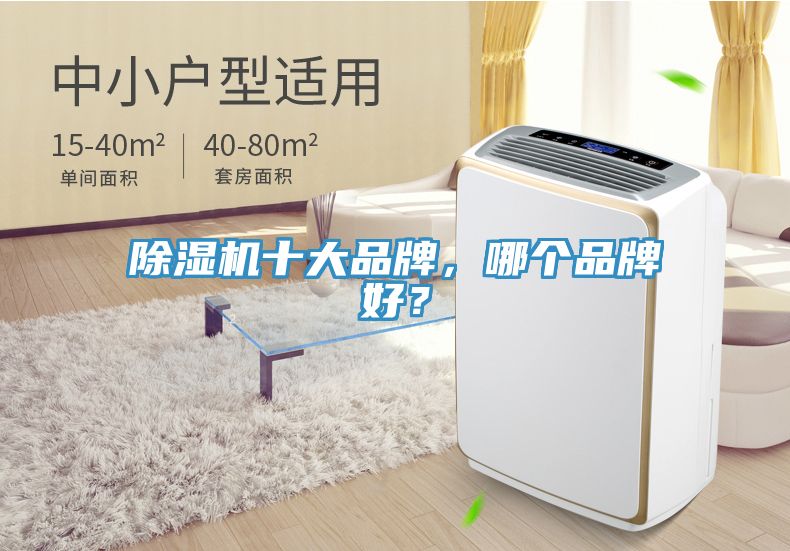 除濕機(jī)十大品牌，哪個(gè)品牌好？