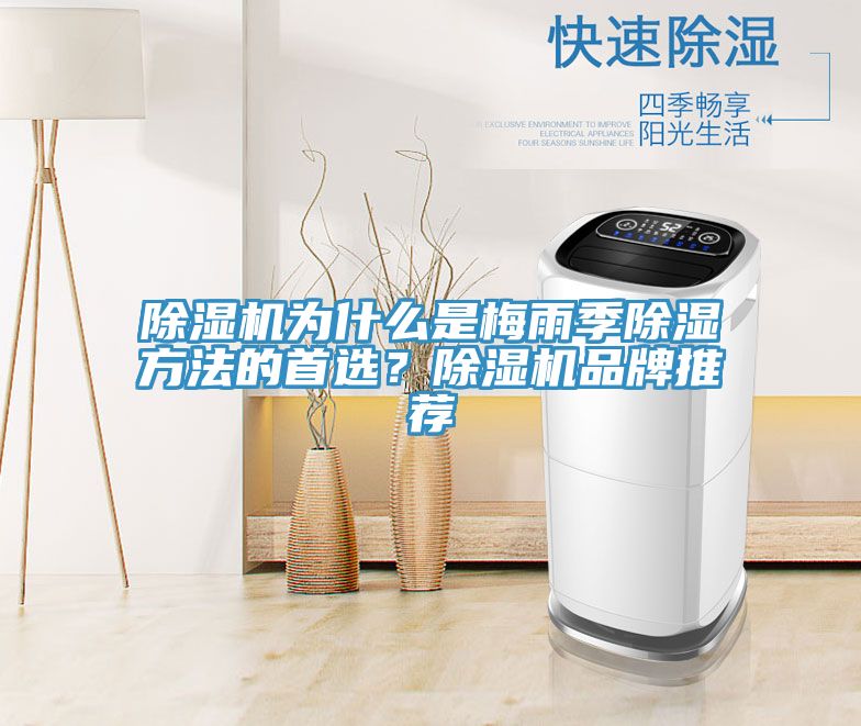 除濕機為什么是梅雨季除濕方法的首選？除濕機品牌推薦
