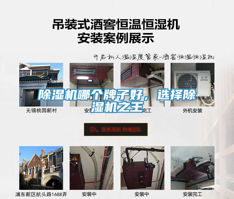 除濕機哪個牌子好，選擇除濕機之王