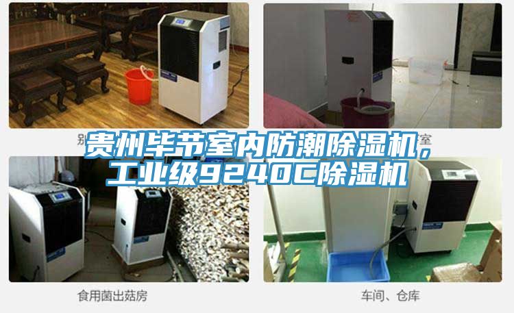 貴州畢節(jié)室內(nèi)防潮除濕機(jī)，工業(yè)級(jí)9240C除濕機(jī)