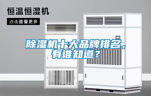 除濕機(jī)十大品牌排名，有誰(shuí)知道？