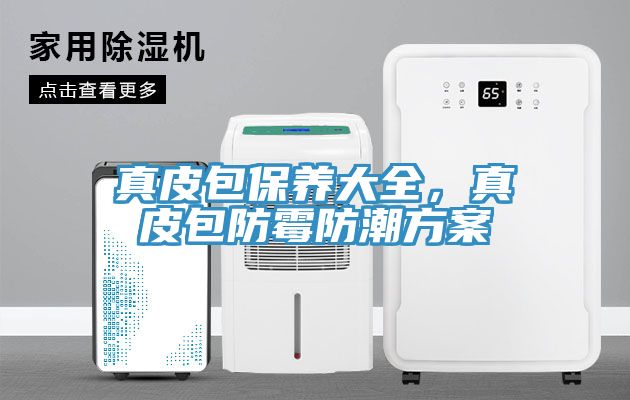 真皮包保養(yǎng)大全，真皮包防霉防潮方案