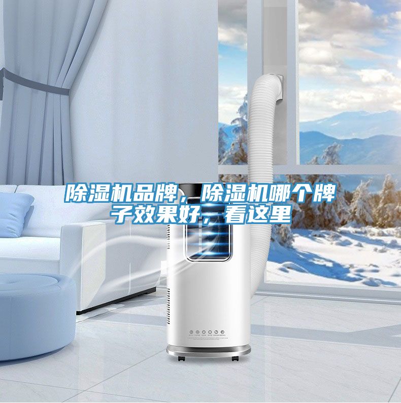 除濕機(jī)品牌，除濕機(jī)哪個牌子效果好，看這里