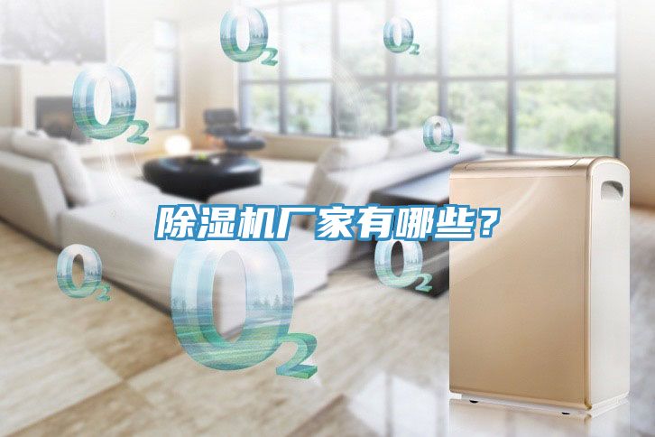 除濕機(jī)廠家有哪些？