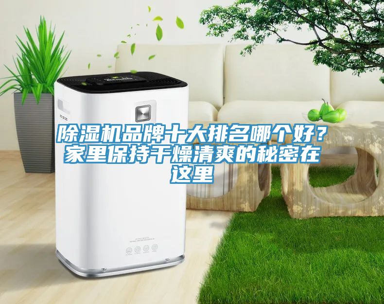 除濕機品牌十大排名哪個好？家里保持干燥清爽的秘密在這里