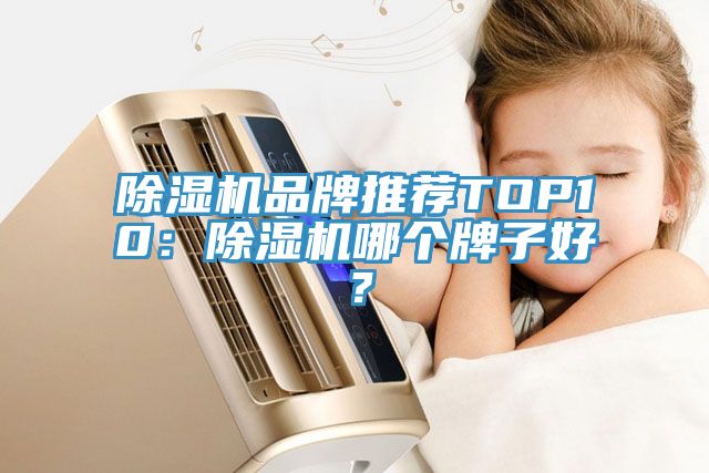 除濕機品牌推薦TOP10：除濕機哪個牌子好？