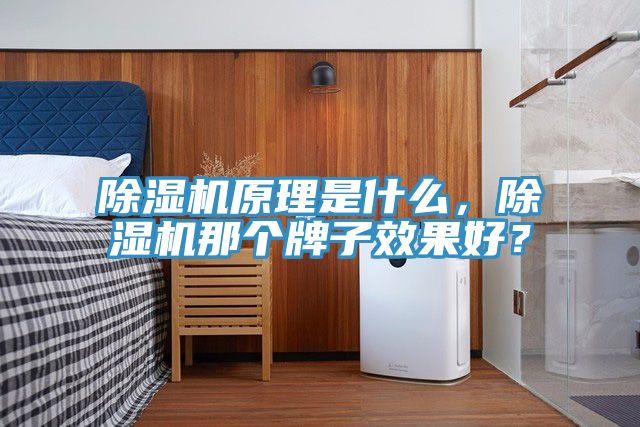 除濕機原理是什么，除濕機那個牌子效果好？