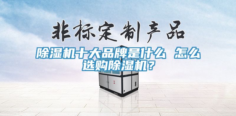 除濕機(jī)十大品牌是什么 怎么選購(gòu)除濕機(jī)？