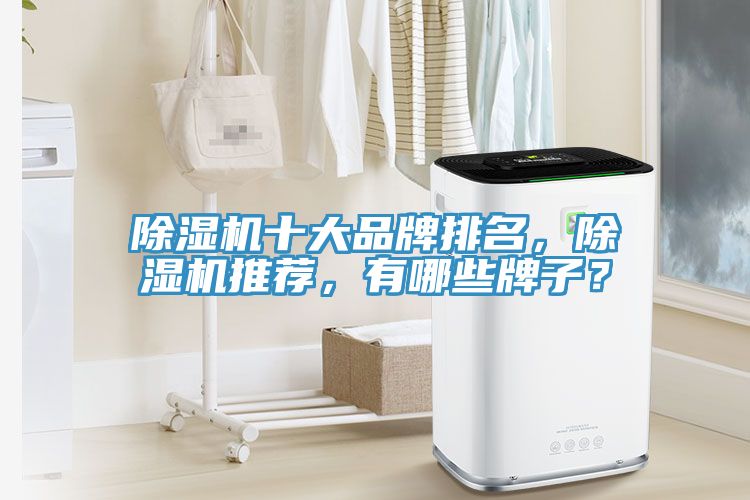 除濕機(jī)十大品牌排名，除濕機(jī)推薦，有哪些牌子？