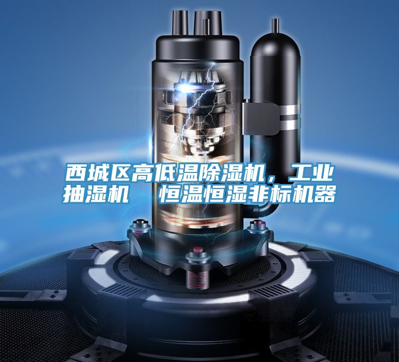 西城區(qū)高低溫除濕機，工業(yè)抽濕機  恒溫恒濕非標機器