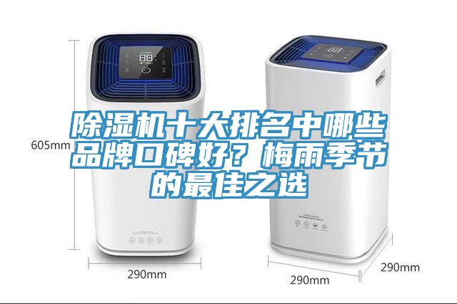 除濕機(jī)十大排名中哪些品牌口碑好？梅雨季節(jié)的最佳之選