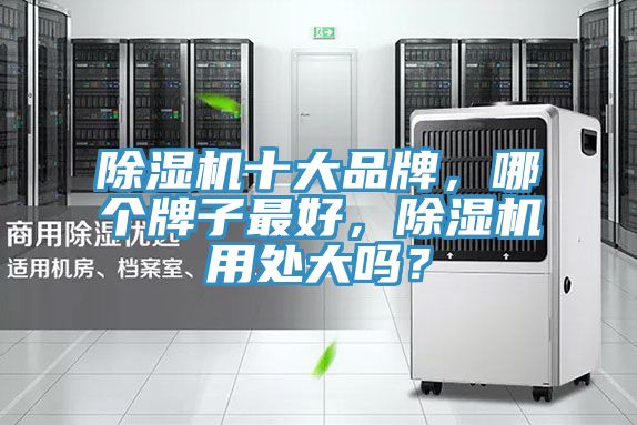 除濕機(jī)十大品牌，哪個(gè)牌子最好，除濕機(jī)用處大嗎？