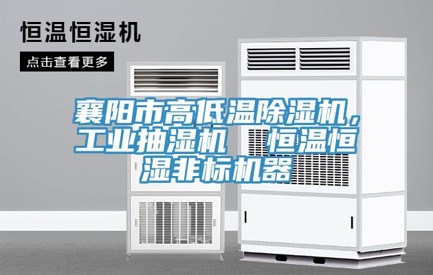 襄陽市高低溫除濕機，工業(yè)抽濕機  恒溫恒濕非標機器