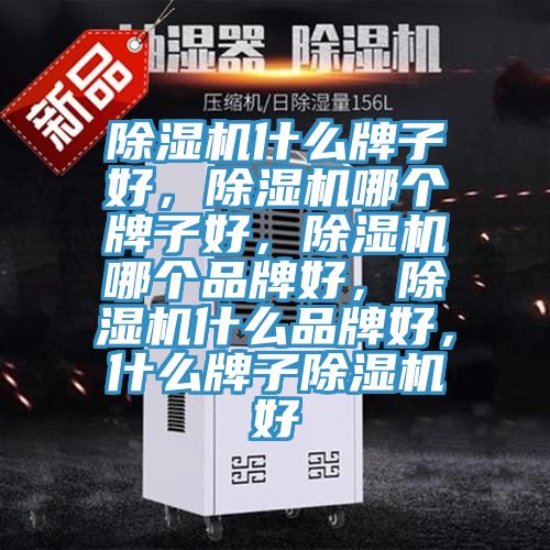 除濕機(jī)什么牌子好，除濕機(jī)哪個(gè)牌子好，除濕機(jī)哪個(gè)品牌好，除濕機(jī)什么品牌好，什么牌子除濕機(jī)好