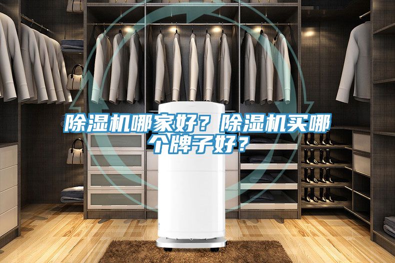 除濕機(jī)哪家好？除濕機(jī)買(mǎi)哪個(gè)牌子好？