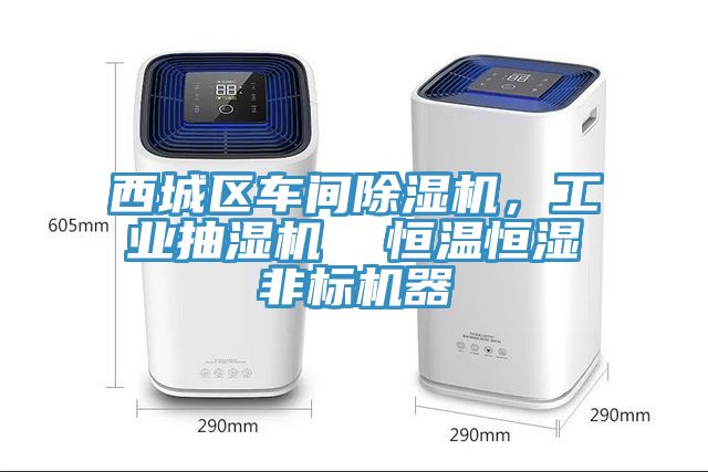 西城區(qū)車間除濕機，工業(yè)抽濕機  恒溫恒濕非標機器