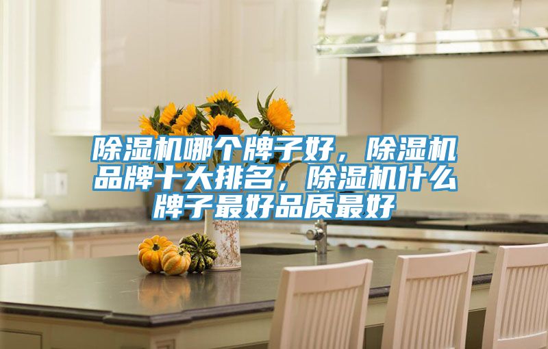 除濕機(jī)哪個(gè)牌子好，除濕機(jī)品牌十大排名，除濕機(jī)什么牌子最好品質(zhì)最好
