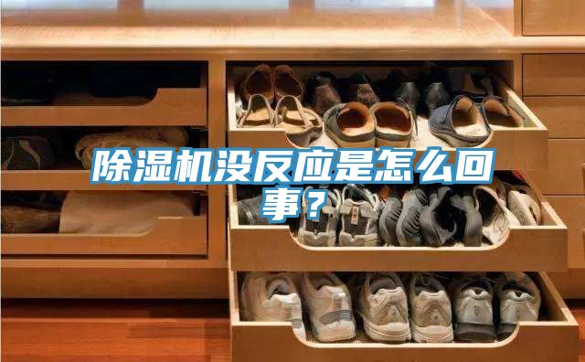 除濕機(jī)沒(méi)反應(yīng)是怎么回事？