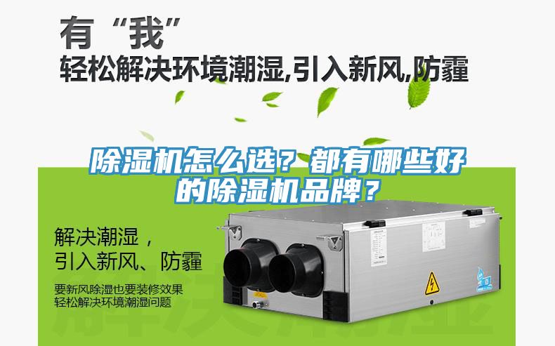 除濕機怎么選？都有哪些好的除濕機品牌？
