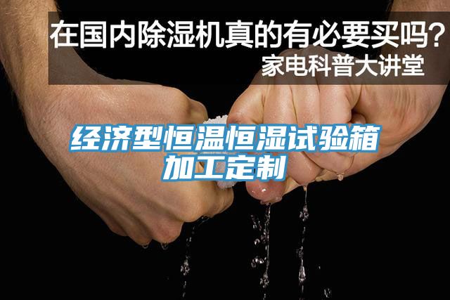 經(jīng)濟(jì)型恒溫恒濕試驗箱加工定制