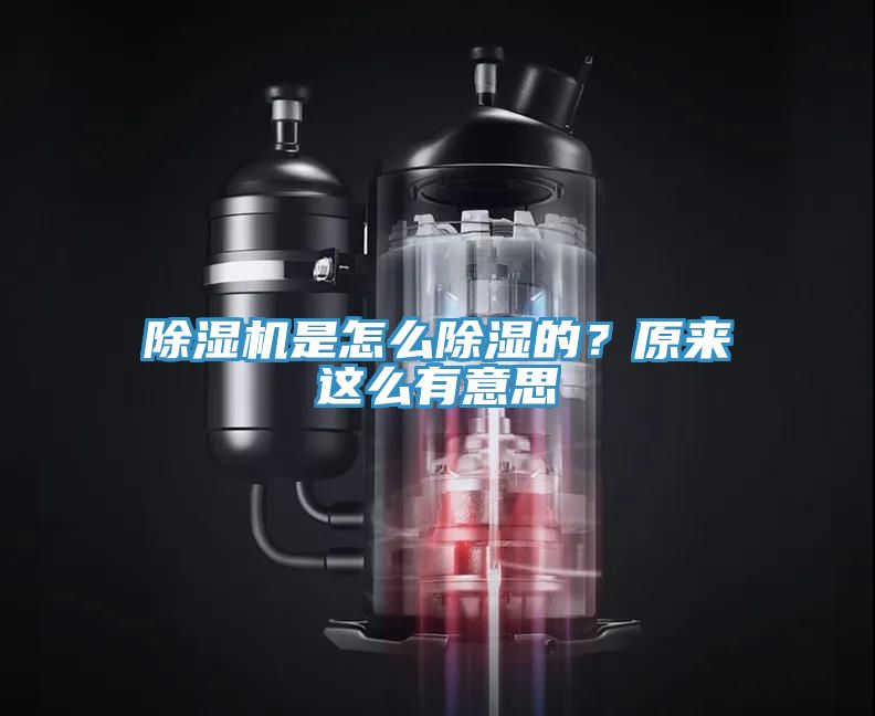 除濕機是怎么除濕的？原來這么有意思