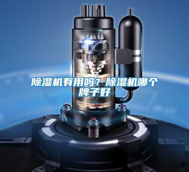 除濕機(jī)有用嗎？除濕機(jī)哪個牌子好