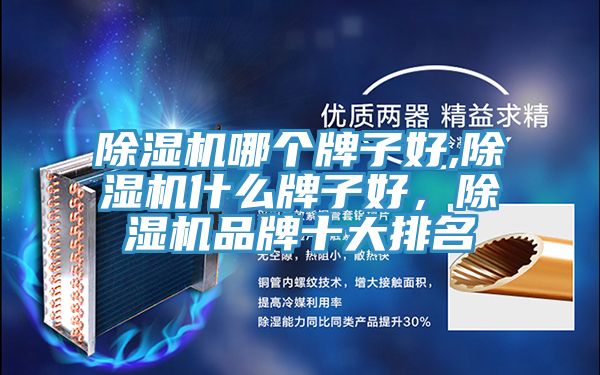 除濕機(jī)哪個(gè)牌子好,除濕機(jī)什么牌子好，除濕機(jī)品牌十大排名