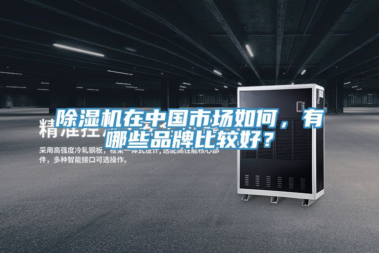 除濕機在中國市場如何，有哪些品牌比較好？