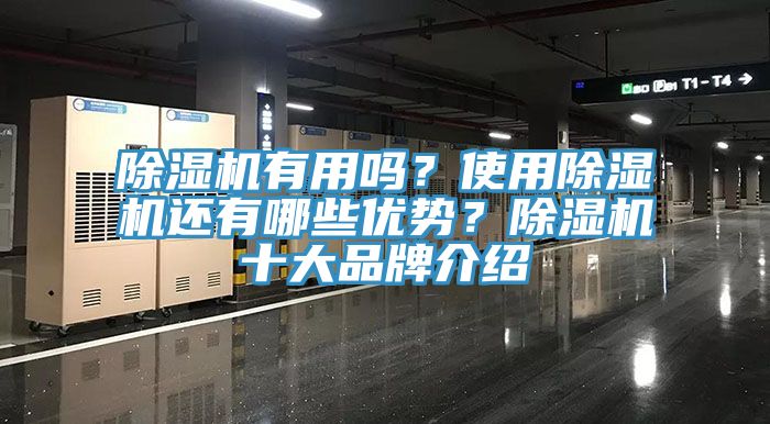 除濕機(jī)有用嗎？使用除濕機(jī)還有哪些優(yōu)勢？除濕機(jī)十大品牌介紹
