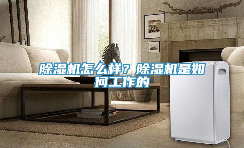 除濕機(jī)怎么樣？除濕機(jī)是如何工作的