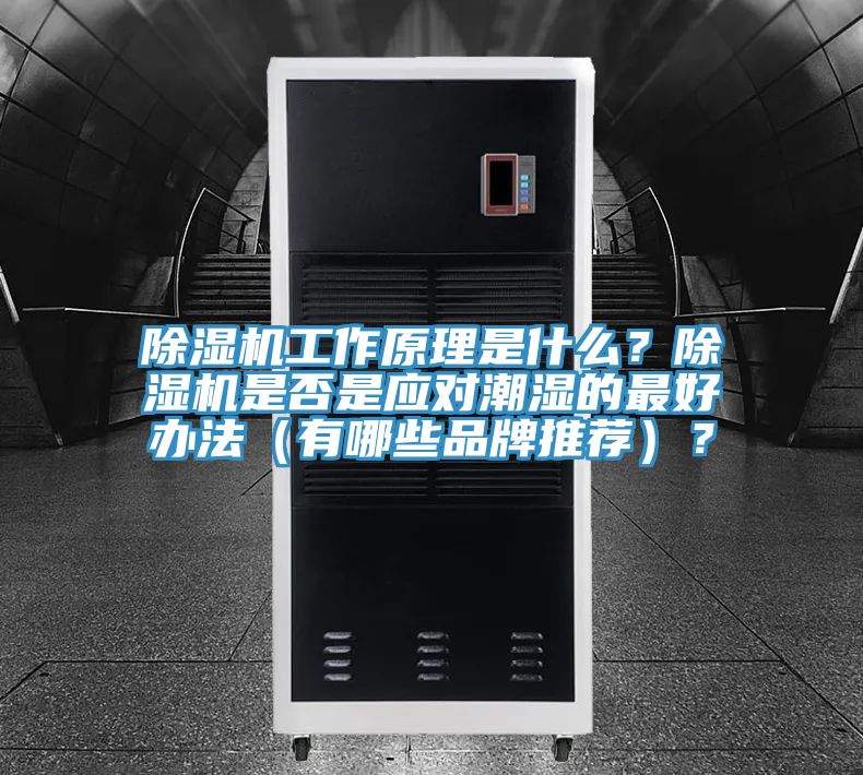 除濕機(jī)工作原理是什么？除濕機(jī)是否是應(yīng)對(duì)潮濕的最好辦法（有哪些品牌推薦）？