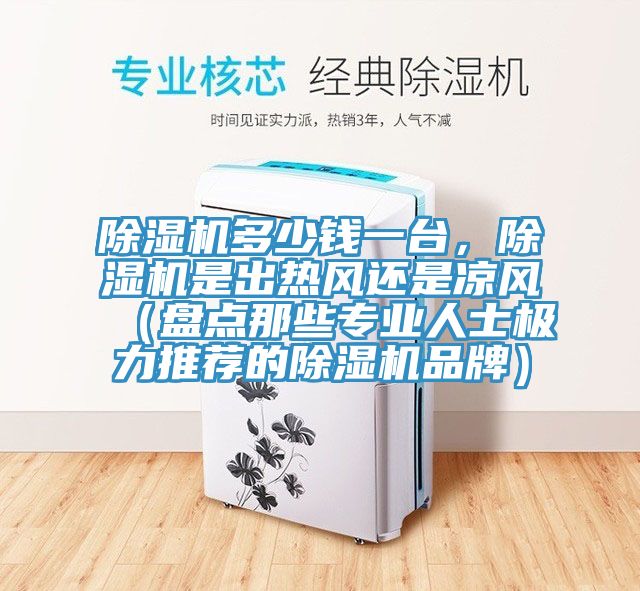 除濕機(jī)多少錢一臺，除濕機(jī)是出熱風(fēng)還是涼風(fēng)（盤點(diǎn)那些專業(yè)人士極力推薦的除濕機(jī)品牌）