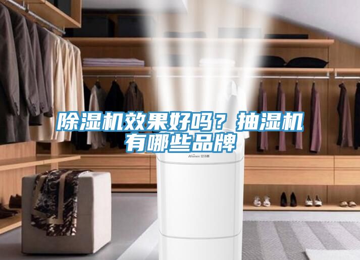 除濕機(jī)效果好嗎？抽濕機(jī)有哪些品牌