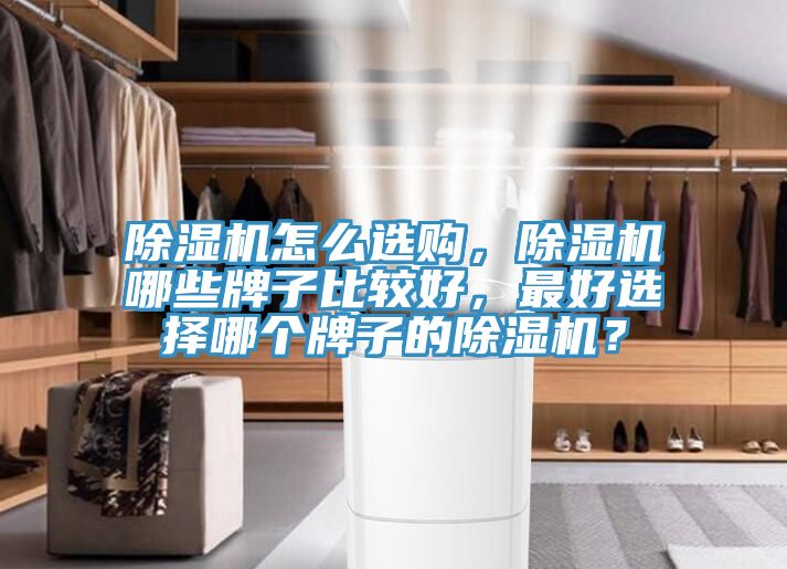 除濕機怎么選購，除濕機哪些牌子比較好，最好選擇哪個牌子的除濕機？